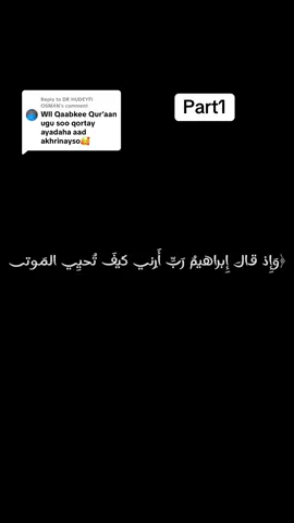 Replying to @DR.HUDEYFI OSMAN #الــــــــــــــــــــدَّاعيـــــــة🧕🍂 #somalitiktok 