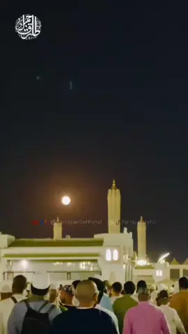 #fypviralシ #fypシ゚ #fyp#fypシ゚viral🖤tiktok #fypviralシ 