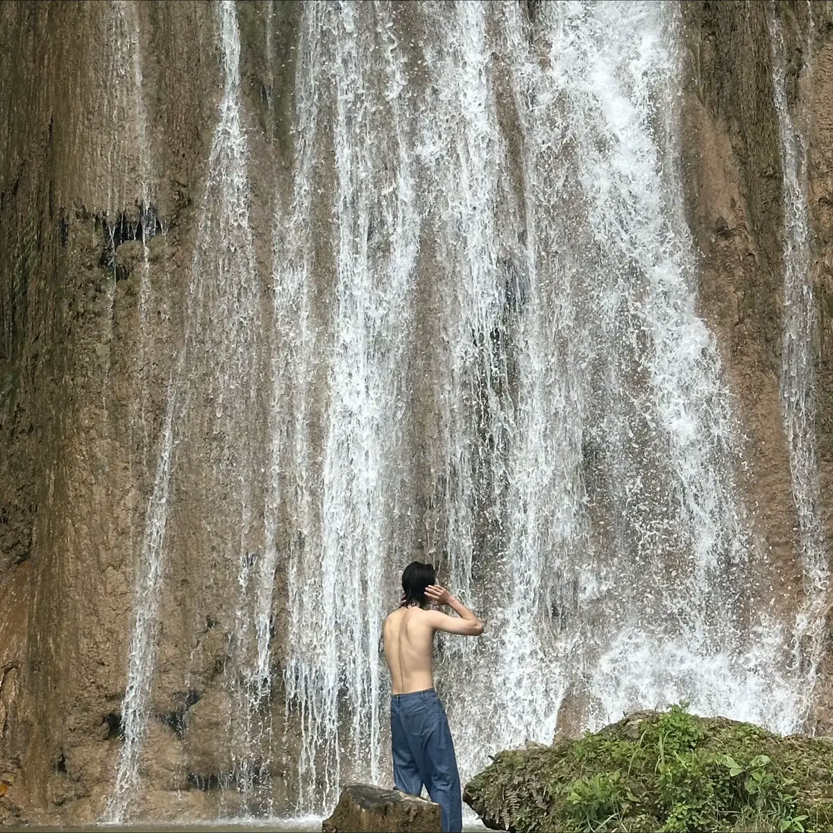 #nature #burmese #back #view 
