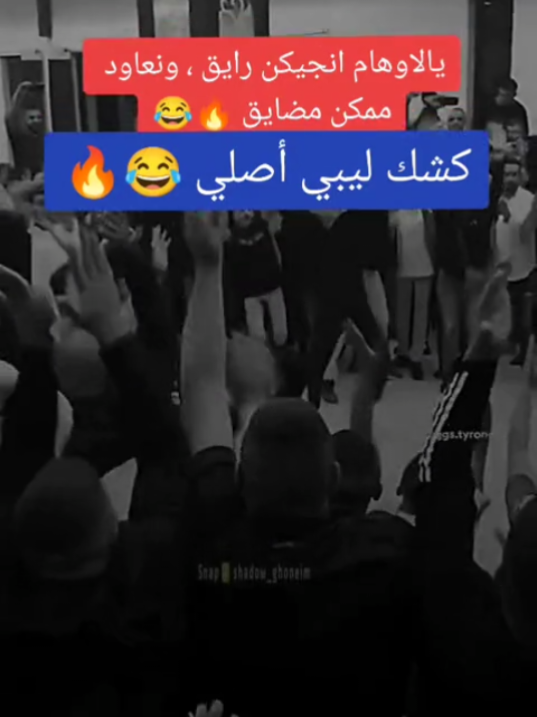 ايدك ايدك 👏👏😅😂#الشعب_الصيني_ماله_حل😂😂 #مجرد________ذووووووق🎶🎵💞 #كشك_ليبي_صح🔥✨ #مشاهير_العرب #fypシ゚ 