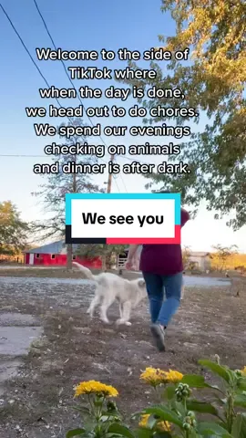 Homestead and farm life is not for the faint of heart. If you’re out there doing the thing, we see you and we’re cheering you on! If you’re part of our community and chopping our farmers market in person or online, we see you and we are so very grateful for you! #homestead #farmlife #community #chores #rawmilk 