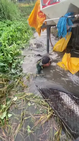 Hết đường hết bột hết tập 1 còn đường còn sửa còn tập nữa nha còn phần 2 nửa nha mấy ní gải đặt biệt này sao ta kkk@tan.toi2709 @Cậu bé chạy ex sổ 🦆 @Hồng Nhung @Luân rùi 🪰 @🍑 Quốc huy🍑 @Hùng gà 🐓 #xuhuong #xuhuongtiktok #lấpvodongthap #kubota105xบ้าพลัง #dc70plus 