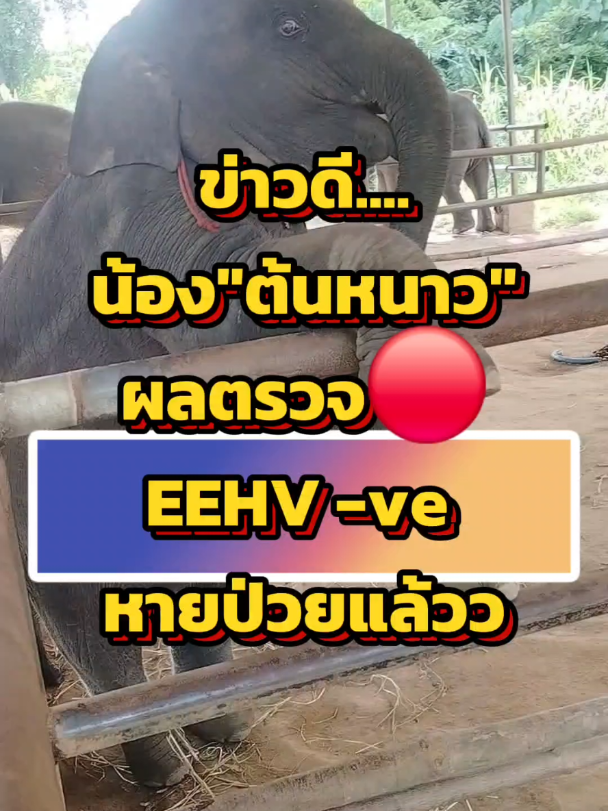 ข่าวดี..ผลตรวจ เลือด  น้อง