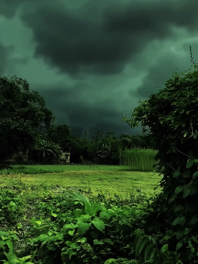 The sky is dark before it rain #rainsrilanka #rainclimate #weatherchange #naturevibes #naturevideography    tamil bgm nature 