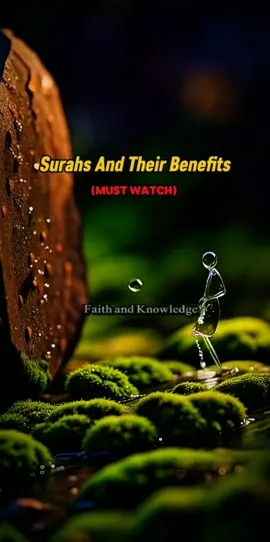 Surahs And Their Benefits #surah #benefits #muslimtiktok #statusvideo #islamic_video 