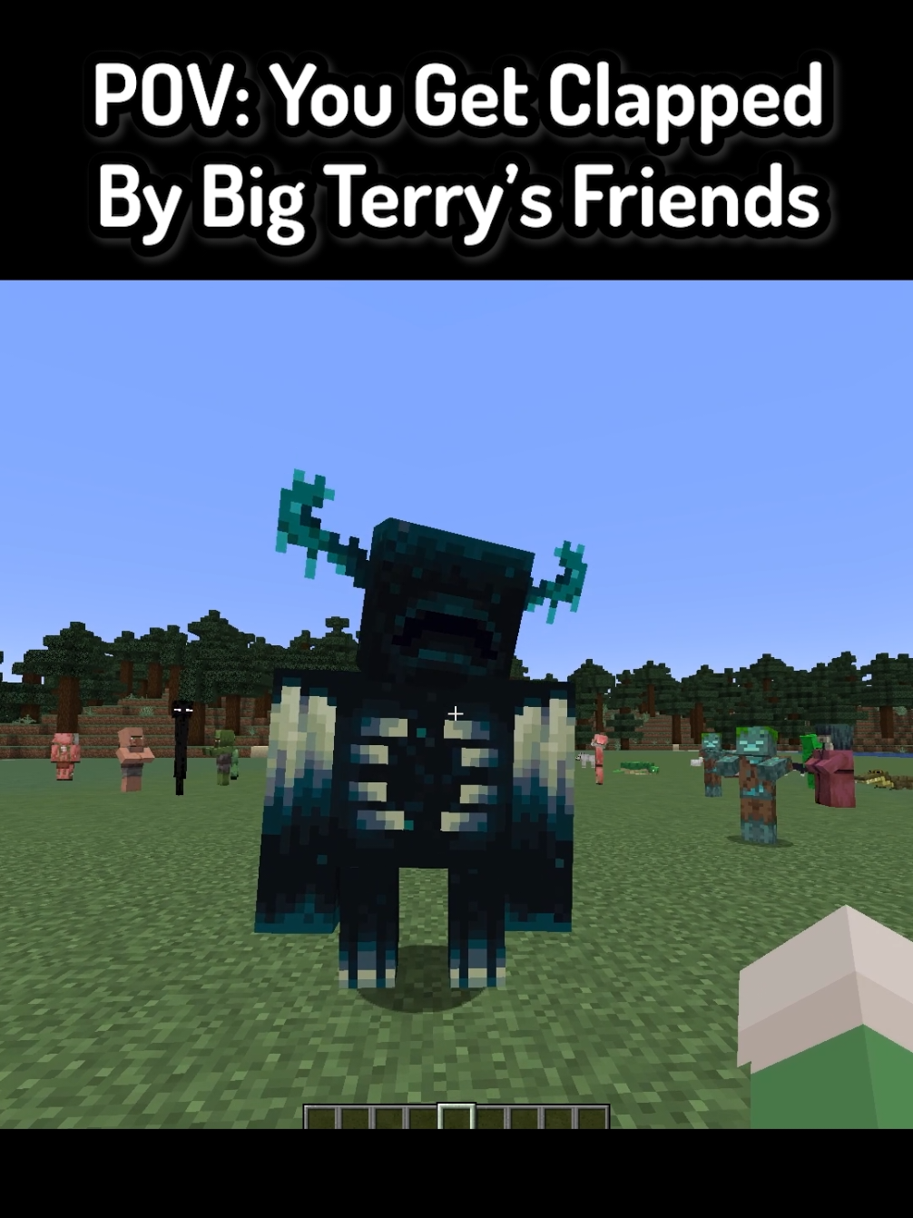 POV: You Get Clapped By Big Terry's Friends In Minecraft ( FT: @Vermey @SquishyRob ) #Minecraft #funnymoments #mc #mcyt #minecraftmemes 