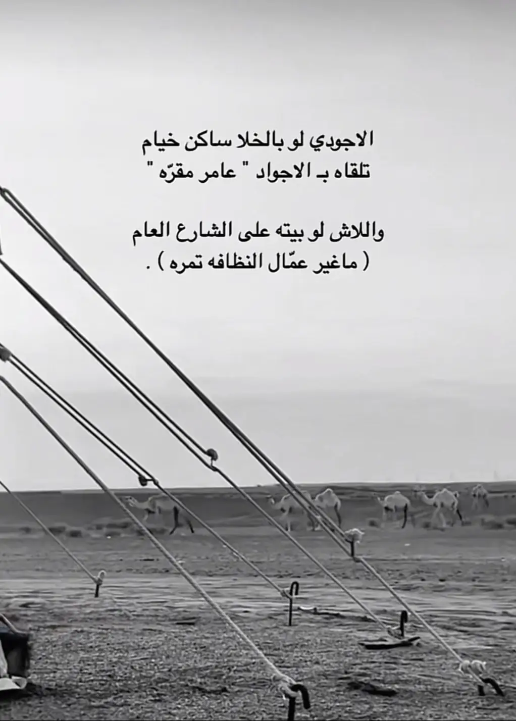 #اكسبلور#الشعب_الصيني_ماله_حل😂😂#قصيد#شعر#هاشتاق 