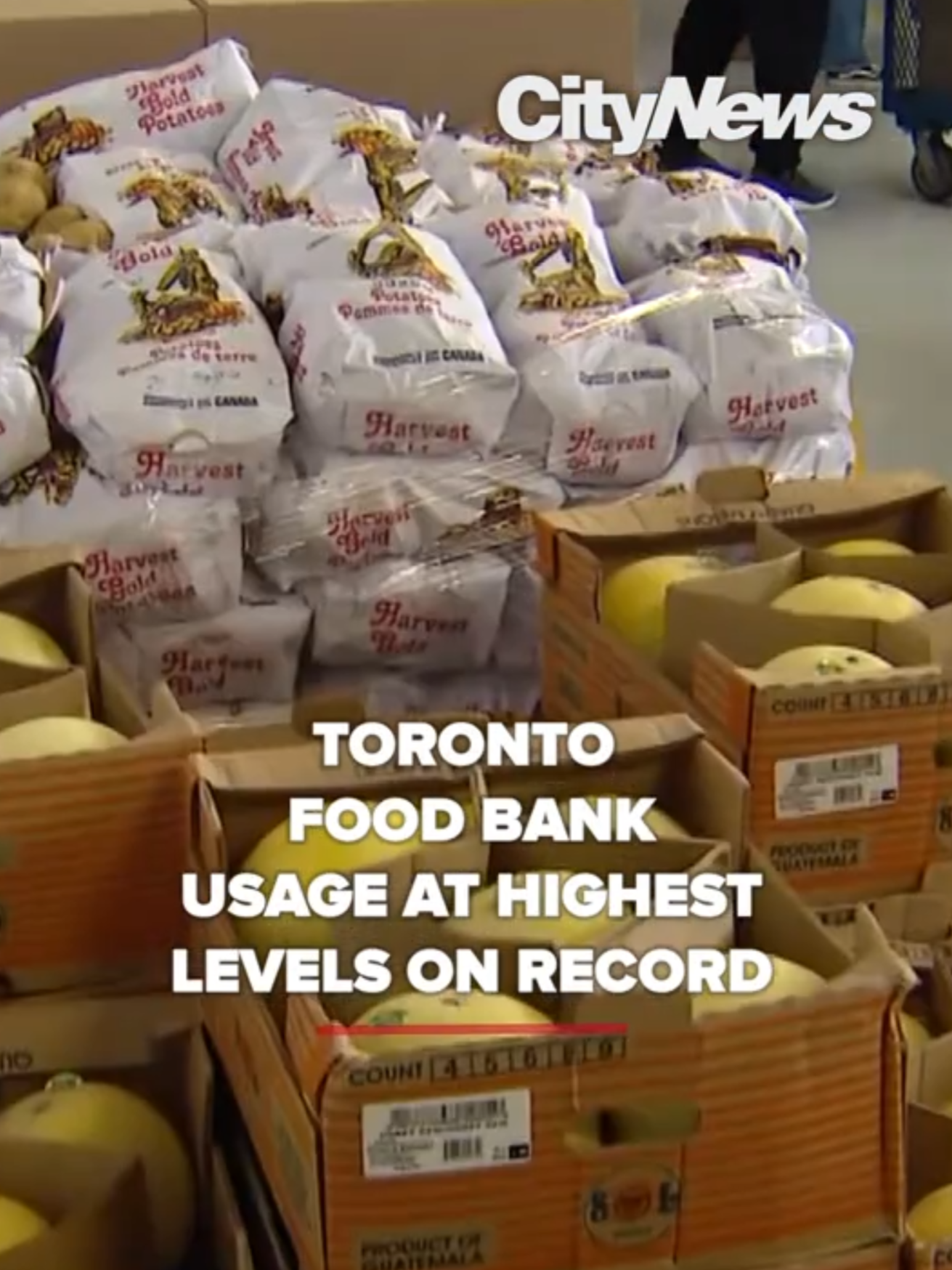 The Daily Bread food bank says need for its services in Toronto are reaching record levels right now. Faiza Amin speaks with CEO, Neil Heatherington on how the public can help support and special efforts underway for Thanksgiving. #FYP #FoodBank #Toronto #Ontario