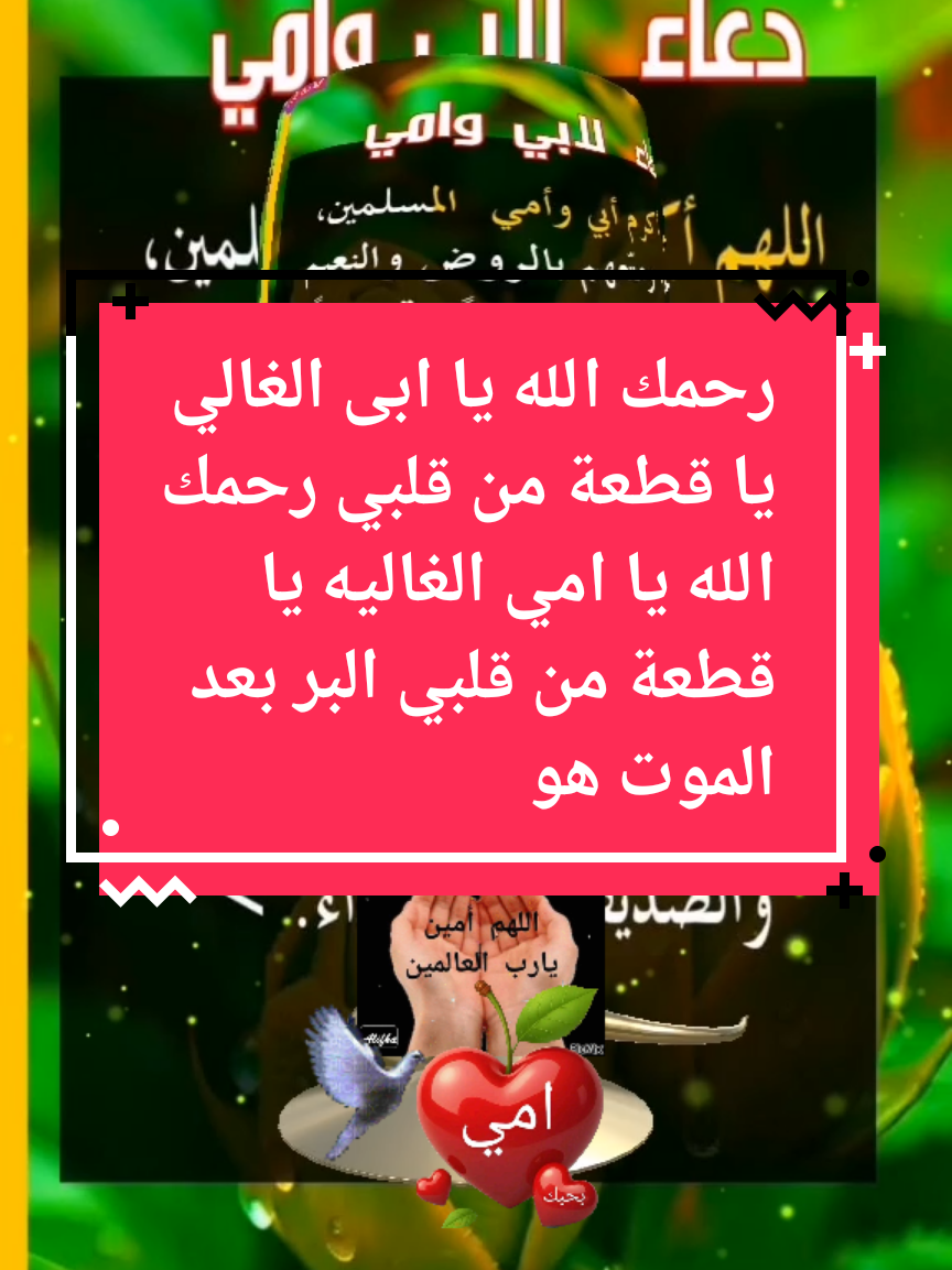 البر بعد الموت هو أصدق البر رحمك الله يا ابى رحمك الله يا امي #اللهم_امين_يارب_العالمين #رحمك_الله_يا_أبي_الغالي #رحمك_الله_يا_فقيد_قلبي #اللهم_ارحم_موتانا_وموتى_المسلمين #رحمك_الله_يا_امي 
