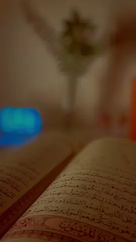 تدابرو الايات 🤍 #قران #ماهرالمعيقلي #quran 