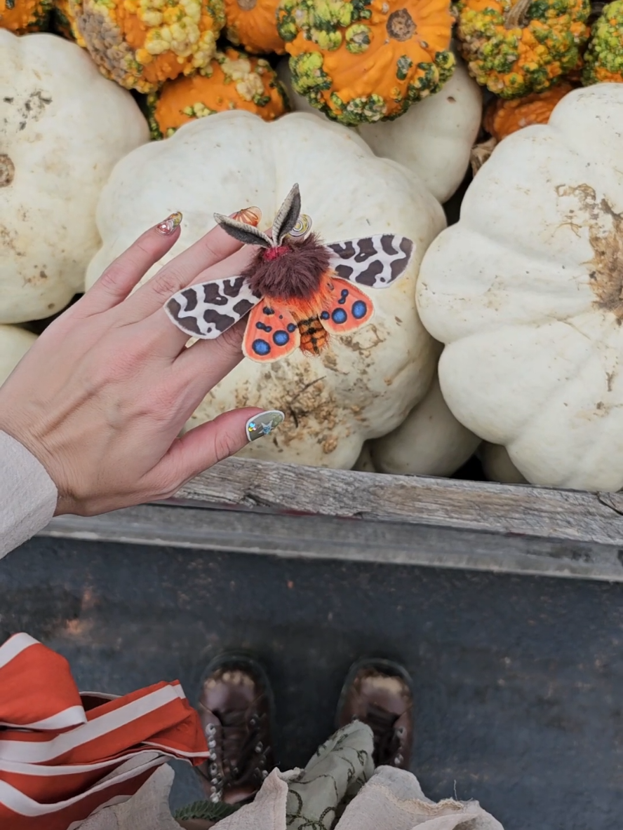 a perfect Fall companion! I am currently open for orders on these cute garden tiger moths, so you could do the same! 🤎 #moths #fallactivities #autumnmood #handcrafted #naturecore 