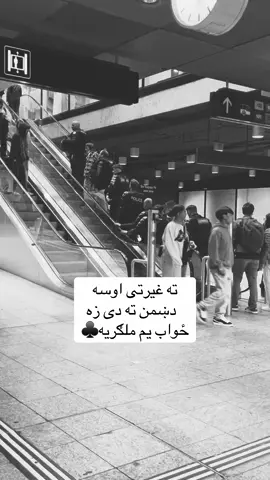 @عـلی 🗣️ 