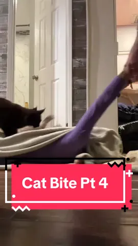 Some choices in life inevitable 🐈‍⬛🖤 #funnycatvideo #catcomedy #mainecoonkitten #cutecat #fyp 