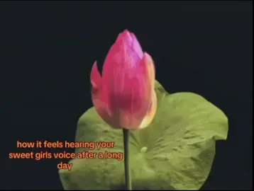 I love her voice #foryoupage #wlw #ilovemygf #Love #myeverything 