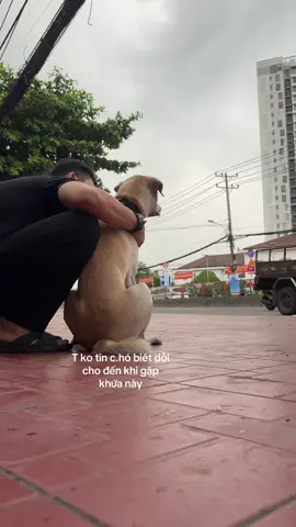 Kể không ai tin