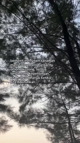 #xyzbca #foryoupage #fyp #4u 