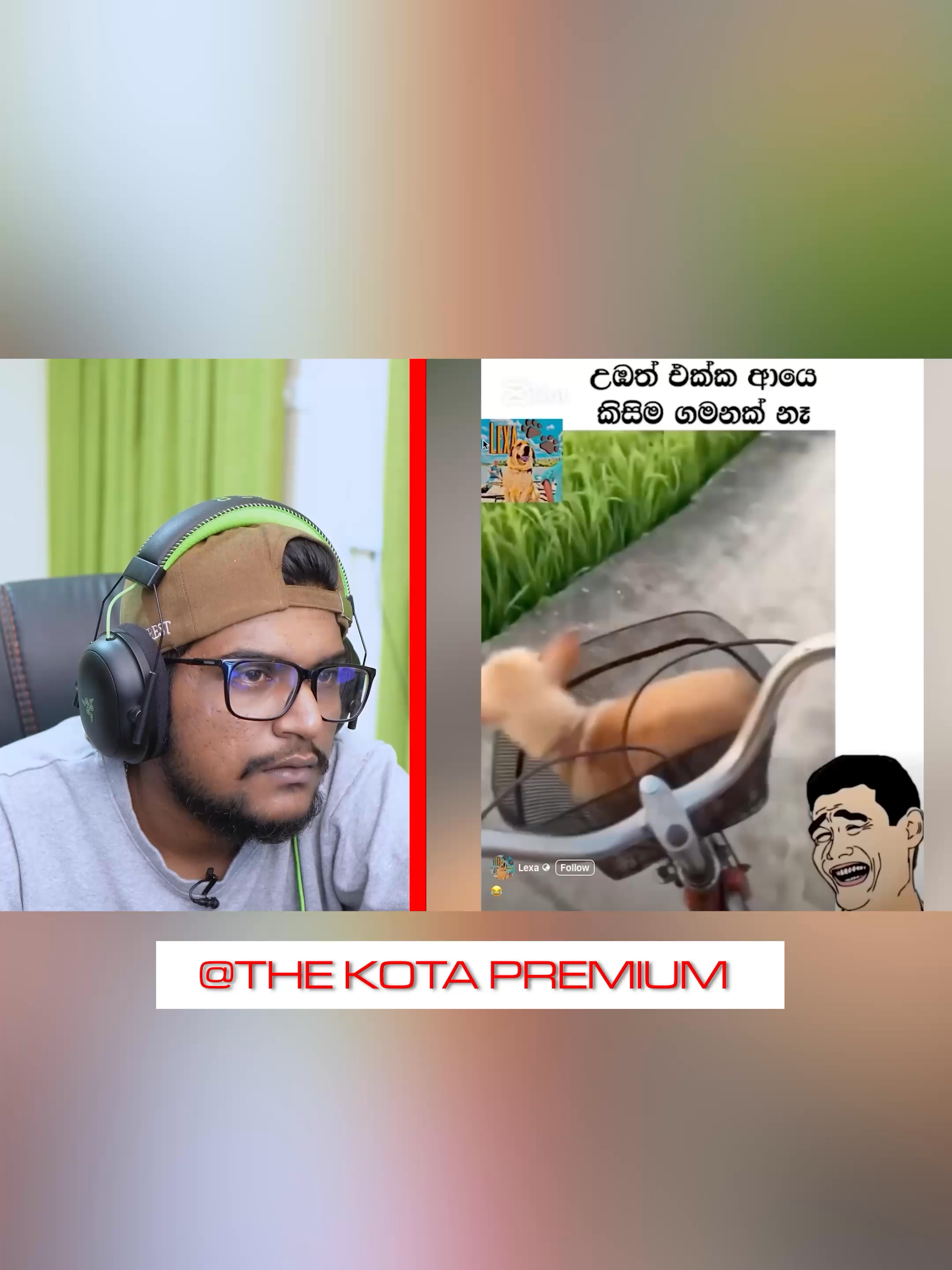 are tony aja...#thekota #thekotamemes