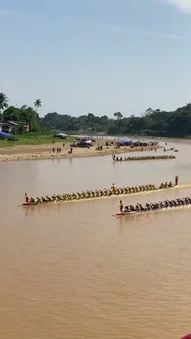 Selendang Putri Danau Seroja vs Langkah Siluman Buayo Danou!🥶 #langkahsilumanbuayodanau #pacujalur2025 #aurafarming #pacujalurkuantansingingi #masukberandafyp 