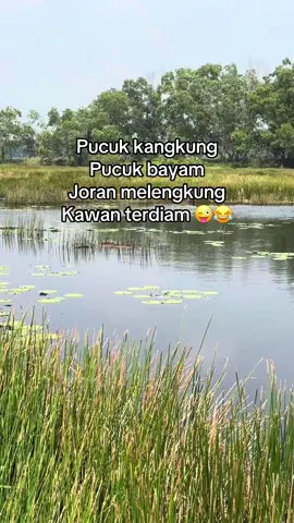 Angler musiman 😭 @Agus Prasetyo @candragstian #promomakan1010 #mancing #casting #fyp #gabus 