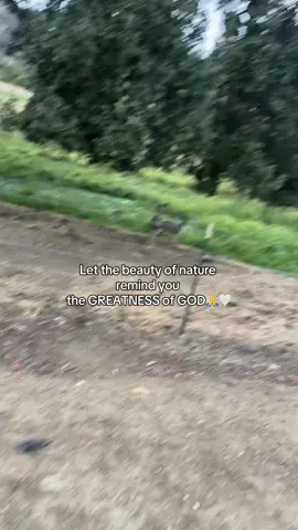 There is beauty in everything you just have to feel it 🙏 there’s a reason I’ve loved nature my entire existence #godschosenones #godsplan #god #ingodwetrust #natureheals 