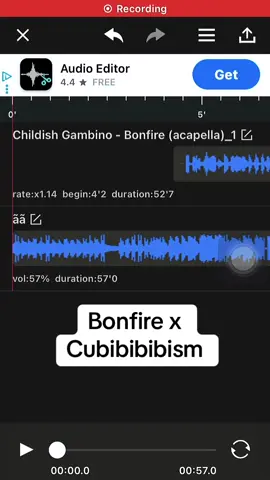 Bonfire x Cubibibibism ....,, i had a vision 🫡🫡 #bonfire #cubibibibism #mashup #fyp #childishgambino 