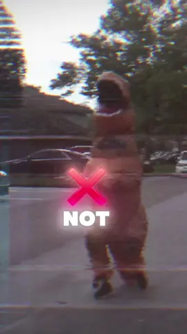 Modern problems require modern solutions. Perhaps it started as a holloween costume, but this is culturally relevant for protests. We need a few inflatables for the absurdity of it all. What sort of insurrectionist comes out in a T-Rex costume?  #musicfestival #Protest #ICE #Nokings #portland