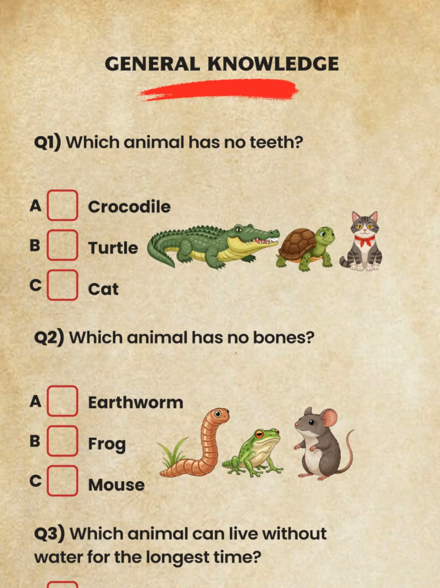 General Knowledge Animals Quiz Can you get 6/6? #animal #LearnOnTikTok #quiz #quiztime #trivia 