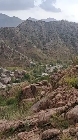 #ابوعلوش  كلمات الشاعر@الشاعر اصيل الحدي اليافعي 