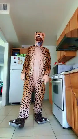 #fypシ゚viral🖤tikto #phillytok #cheetahfast🐆🐆🐆🐯🐯 #phillytiktok #fyp 