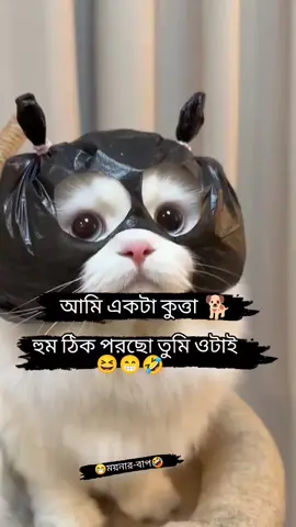 আপনি ঠিকই পড়ছেন!! @TikTok @Tiktok Bangladesh #ফানি_ভিডিও #viral #viralvideo #fyp #trending 