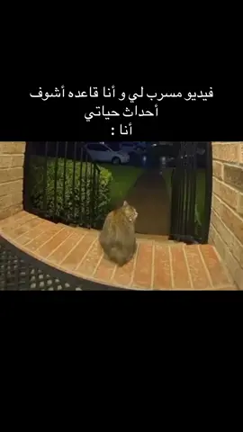 #الوضع_هالفتره 👌🏻🤣🤣🤣🤣🤣🤣🤣🤣🤣🤣🤣🤣🤣🤣🤣🤣🤣🤣🤣🤣