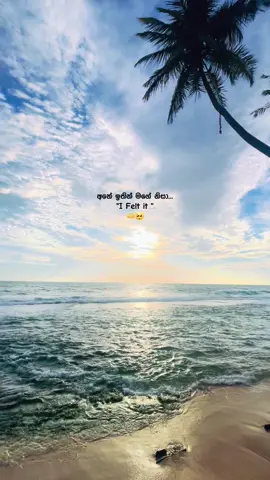 🤍🫶! #fffffffffffyyyyyyyyyyypppppppppppp #hilights #viral #beautiful #srilanka 