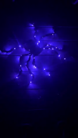 LED Halloween spider with various lighting settings batteries not included #tiktokshop #spider #halloween 