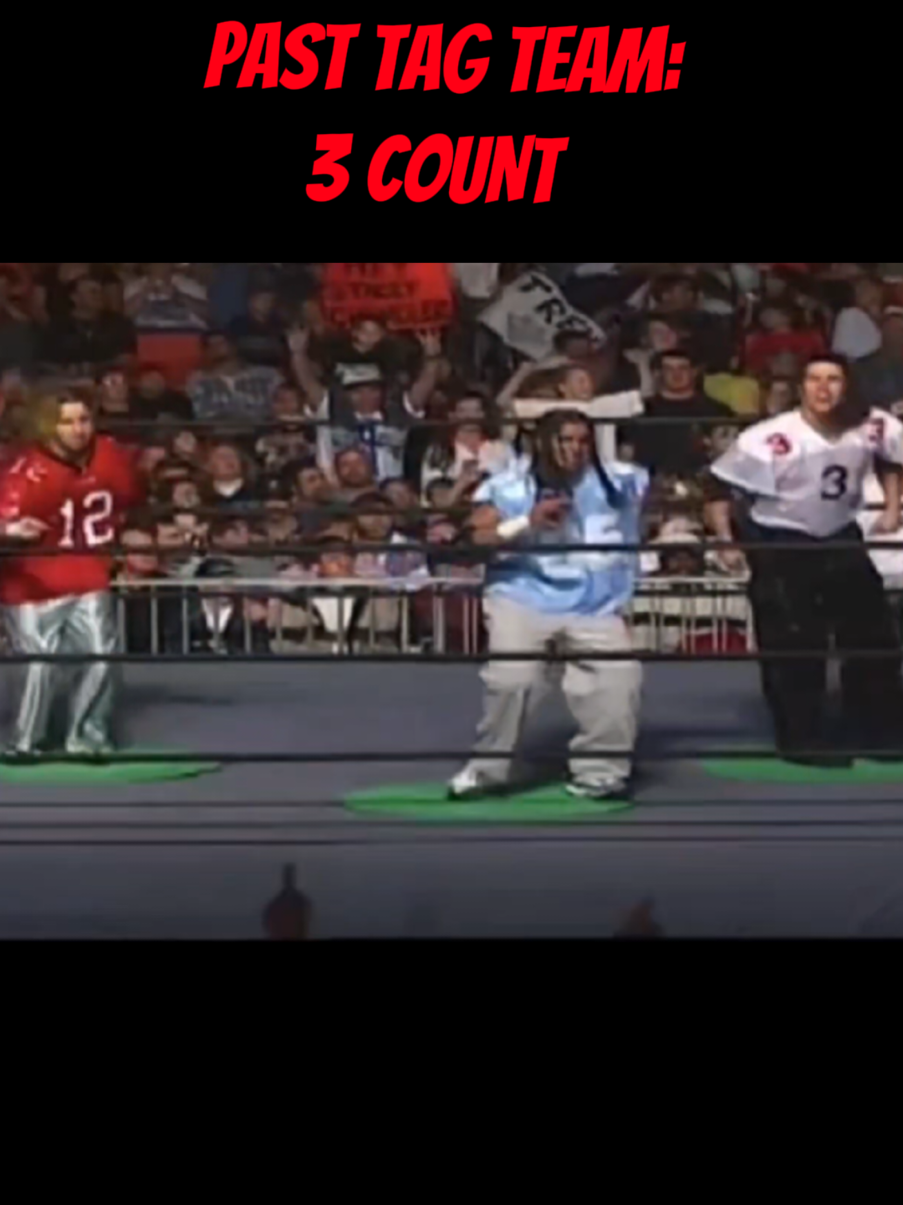 Part 30 | 3 Count  #WWE #wrestling #fyp #edit #team 
