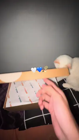 A810 LM🔥 #victor #badminton #victorshoes #badmintonshoes #fyp 