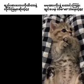 မမ is အဲဗီးတင်း#fypシ #xycba 
