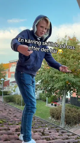 #fyp #djurgården❤️ #viral #sweden 