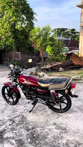 #rxkingindonesia #beranda 