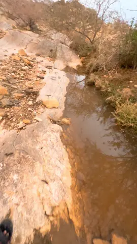 #امطاروطبيعه مع بدايةالشتويه