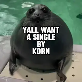 yall want a single by korn seal version (seal music video) for @XxSteviexX ! #seal #sealtok #korn #korntok #yallwantasingle 