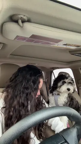 I’m gonna start vlogging daily stuff and talking about my pregnancy experience🥰 I LOVE watching @Gabriella Annalisa Blackwell and she’s inspired me so here we go! #pregnancy #pregnancyjourney #Vlog #bumpdate 