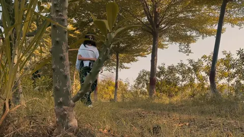 Golden hour and green escapes🍀sometimes all you need is a walk among the trees to reset your soul🍁☀️#fyp #foryou #views #viral #islamiauniversitybahawalpur 