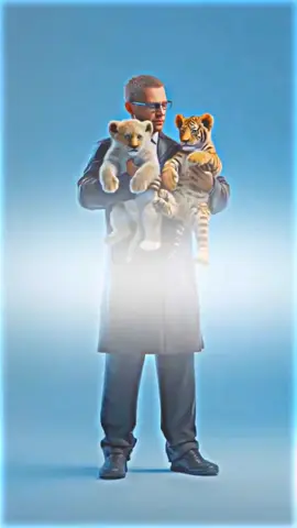 These Hybrid Cubs Grow Into GIANTS! #tiger X #lion = #LIGER