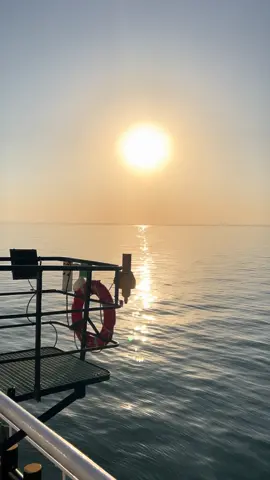 يادنيا فيكي العجب ❤️‍🩹 محمود اليثي  #اكسبلور #بحر #foryou #vip #tiktok 
