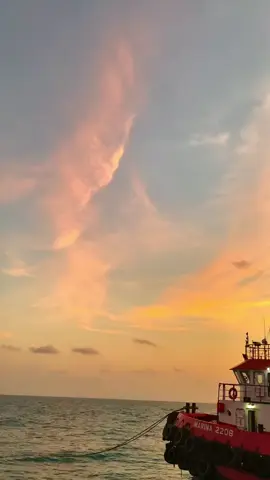 info obat stress....!!! #fypシ゚ #fyp #pelautindonesia 