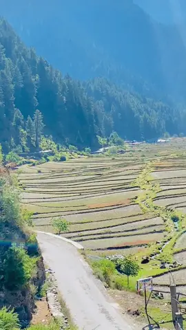 Ya jga kon sa ha #kashmirgroup #foryou #foryoupage @ر۰ق 