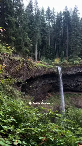 Oregon is beautiful oh my🥹 #oregon #silverfallsstatepark #waterfalls 
