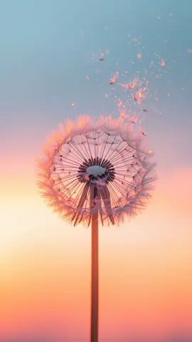 Every wish becomes light 🌬️💛