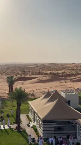 #عارف_المطبّح #اكسبلور #الشعب_الصيني_ماله_حل😂😂 #اكسبلورexplore #اول