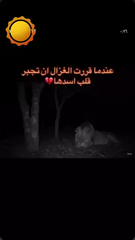 #غزال 